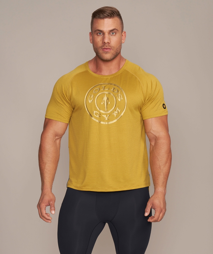 Fashion gold's gym vetement homme